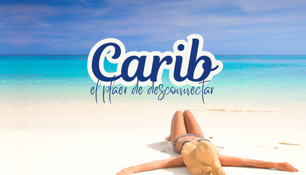 cabecera blog cat 13